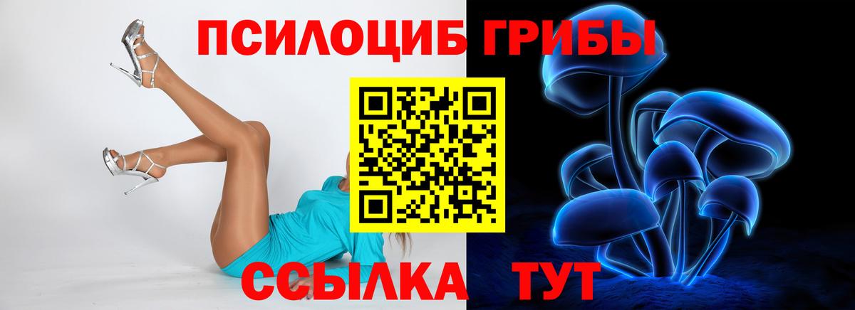 Псилоцибиновые грибы мицелий  Галлюциногенные грибы Psilocybine cubensis  Фролово  Вход с VPN 